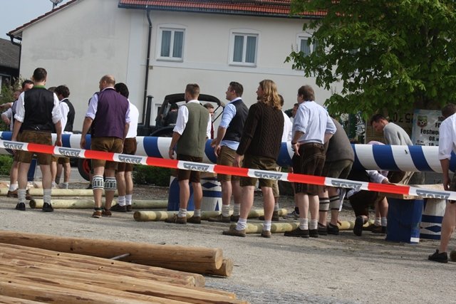 Maibaum 2013